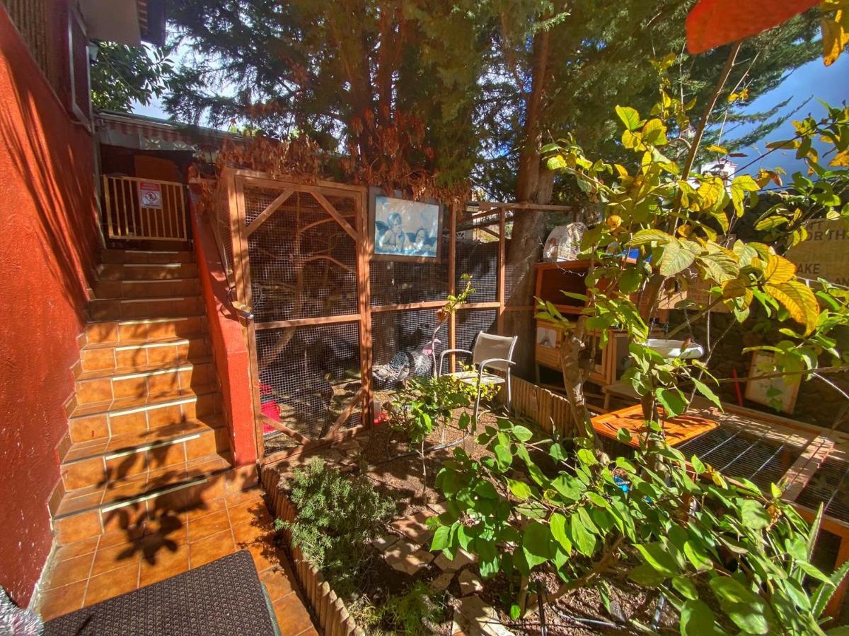Mordelliya Private Jacuzzi Suites Chayofa Exterior foto